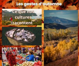 les gestes d'automne
