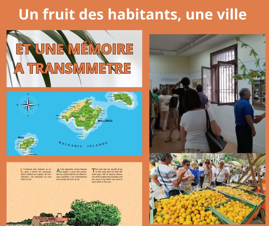 Une ville, un fruit des habitants...